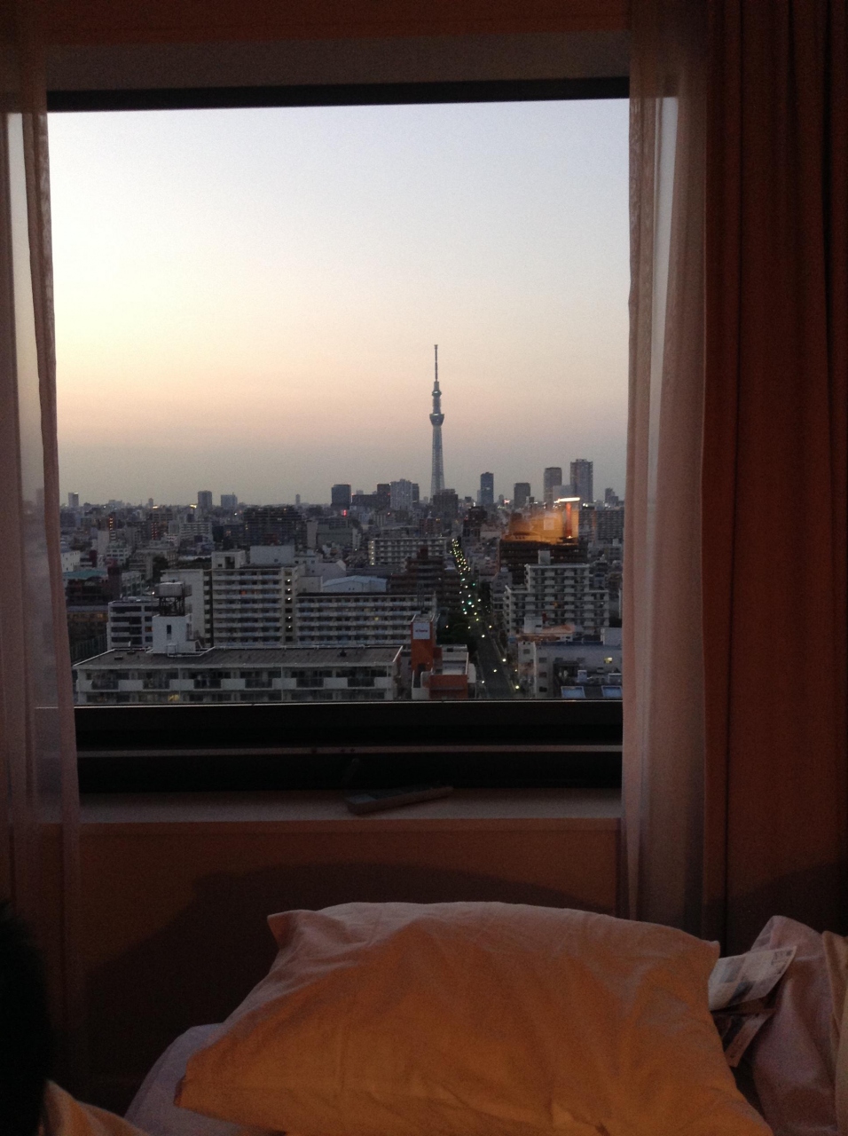 スカイツリーと東京タワーを眺める旅 両国 東京 の旅行記 ブログ By ミロのブイ茄子さん フォートラベル
