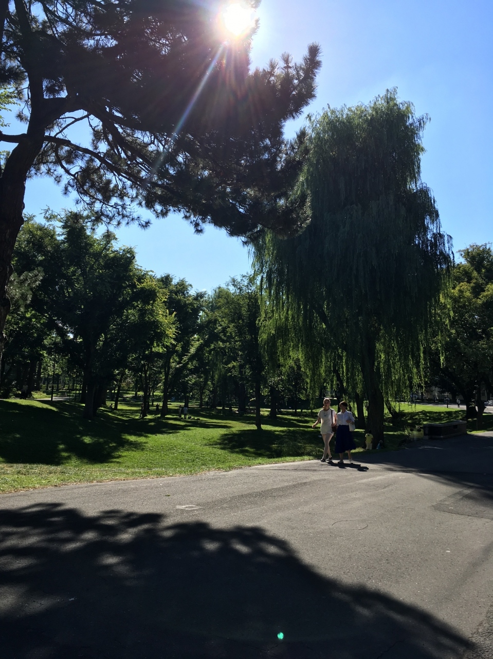 Sfc修行 札幌日帰り 札幌 北海道 の旅行記 ブログ By ｍｉｋａｎさん フォートラベル