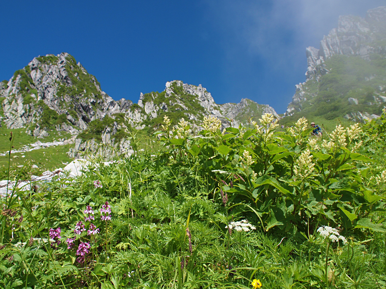 木曽駒ヶ岳登山03 青と緑の千畳敷カール 駒ヶ根 長野県 の旅行記 ブログ By Picotabiさん フォートラベル