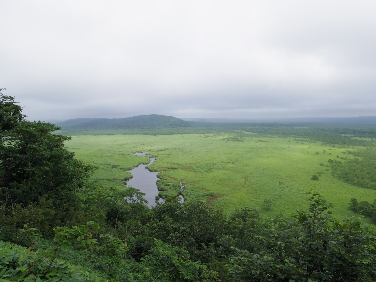 釧路湿原展望台めぐり 釧路 北海道 の旅行記 ブログ By アルプスファンさん フォートラベル 釧路湿原展望台めぐり 釧路 北海道 の旅行記 ブログ By アルプスファンさん フォートラベル