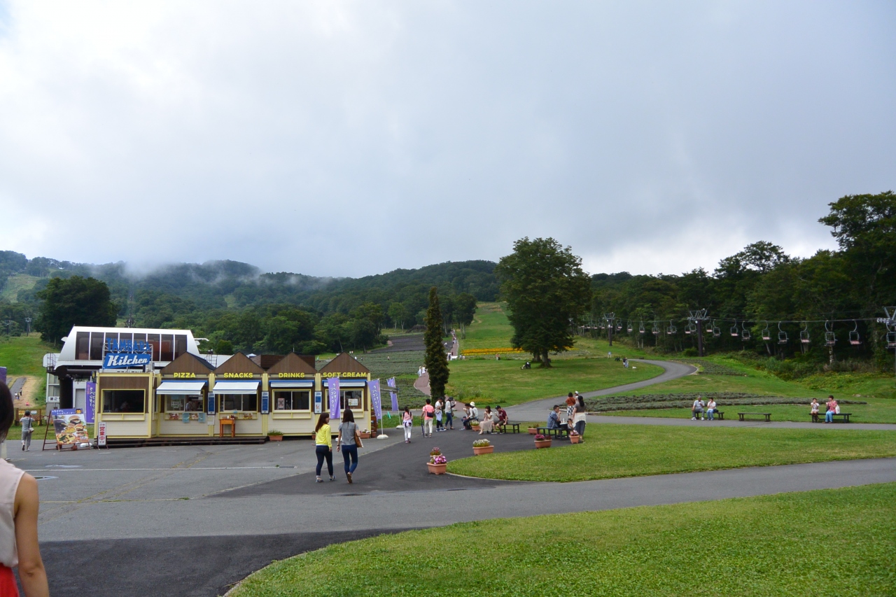 涼を求めて はとバスでたんばらラベンダーパークと川場温泉 川場 群馬県 の旅行記 ブログ By ちどり Oyajiさん フォートラベル