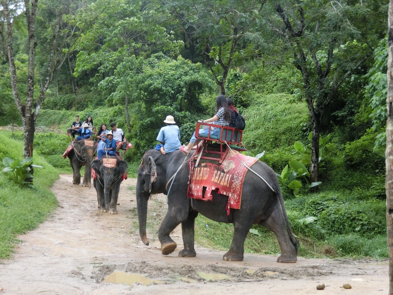 お盆休みに雨季のプーケットへ バンヤンツリーとアンサナラグーナ６泊７日の旅 ３ プーケット タイ の旅行記 ブログ By Kentamanさん フォートラベル