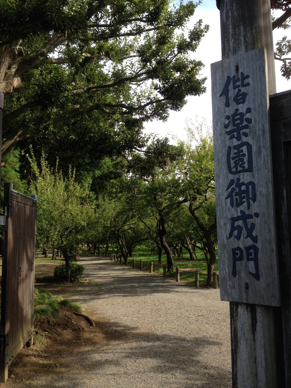 夏の終わりの偕楽園散策と白鳥の湖 水戸 茨城県 の旅行記 ブログ By Sachieさん フォートラベル 夏の終わりの偕楽園散策と白鳥の湖 水戸 茨城県 の旅行記 ブログ By Sachieさん フォートラベル