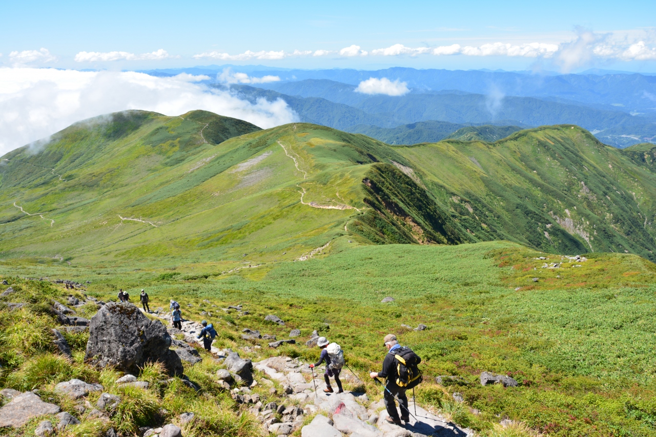 憧れのヒメサユリに出会えた大朝日岳 古寺鉱泉から 月山 朝日岳 山形県 の旅行記 ブログ By どりーまーさん フォートラベル