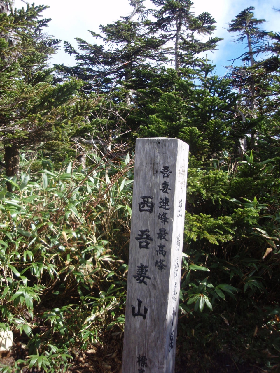 米白布 白布 白布条 白布带