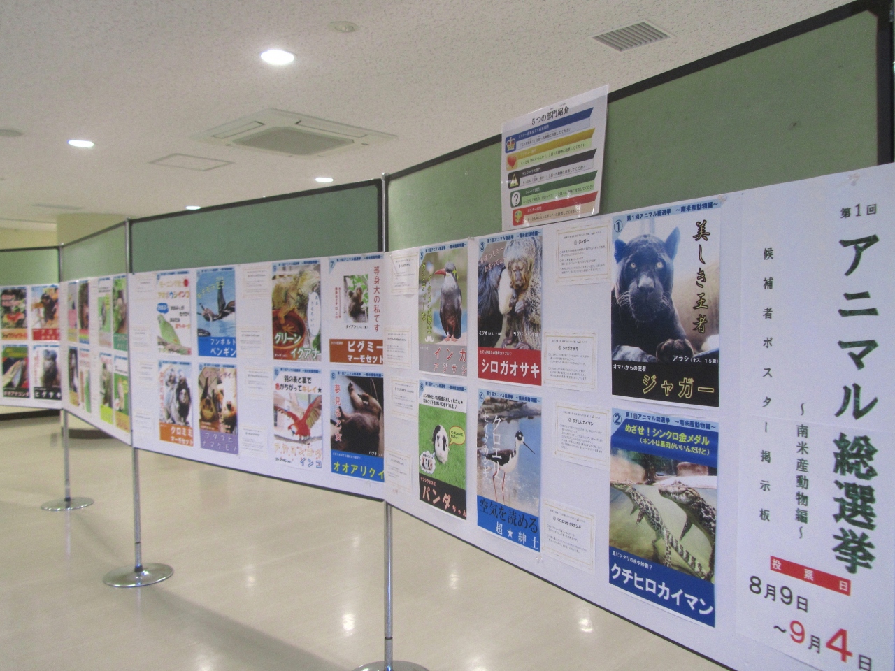 静岡 日本平動物園で開園から夜の動物園まで正味8時間 1 前泊 アクセス ちょっぴりグルメからリオ オリンピック記念の南米動物選挙や夜の動物園の様子まで 静岡市 葵区 駿河区 静岡県 の旅行記 ブログ By まみさん フォートラベル 静岡 日本平動物園で開園から夜の動物園まで正味8時間 1 前泊 アクセス ちょっぴりグルメからリオ オリンピック記念の南米動物選挙や夜の動物園の様子まで 静岡市 葵区 駿河区 静岡県 の旅行記 ブログ By まみさん フォートラベル