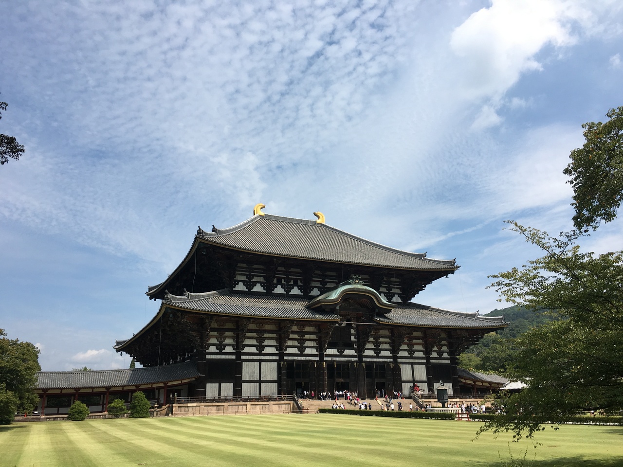 子連れ マタ旅 奈良 奈良市 奈良県 の旅行記 ブログ By Banbaさん フォートラベル