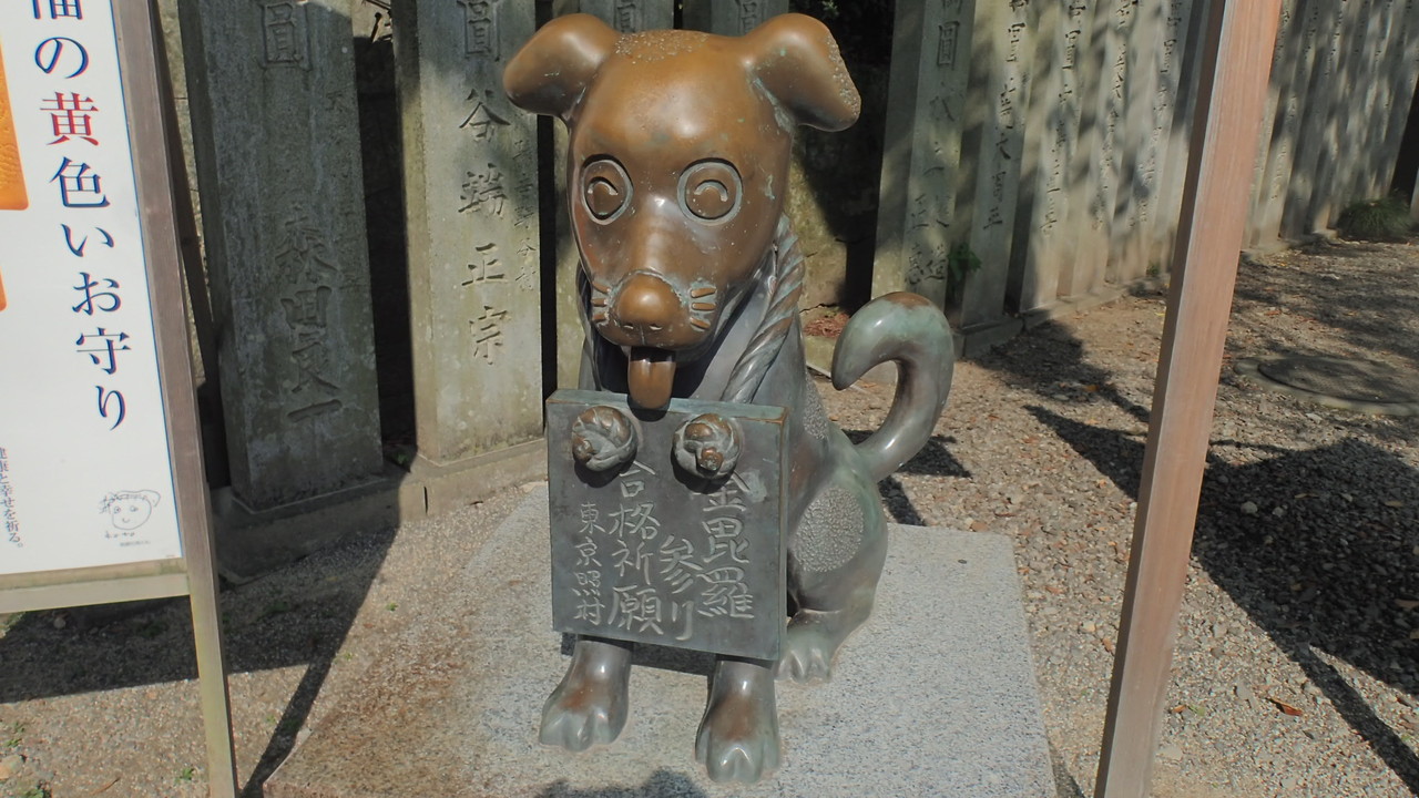 夜行バスで行く日帰り香川県の旅 名古屋発 香川県の旅行記 ブログ By ナナとグーさん フォートラベル 夜行バスで行く日帰り香川県の旅 名古屋発 香川県の旅行記 ブログ By ナナとグーさん フォートラベル
