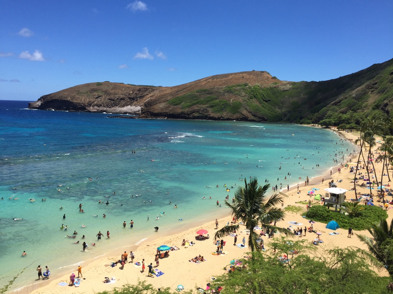 ハワイ旅行記 16 オアフ島 ハワイ の旅行記 ブログ By ポケカロンさん フォートラベル ハワイ旅行記 16 オアフ島 ハワイ の旅行記 ブログ By ポケカロンさん フォートラベル