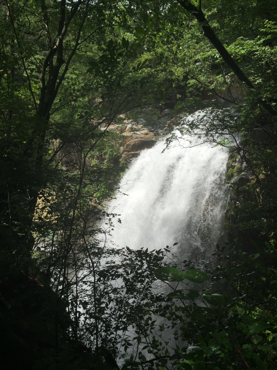 星野リゾート 界 鬼怒川 に泊まってきました その１ 鬼怒川温泉 栃木県 の旅行記 ブログ By 市場巡り大好きさん フォートラベル