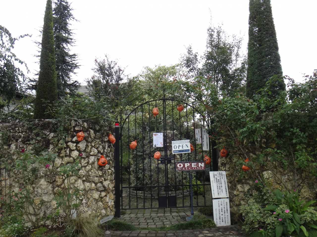 ハロウィーンデコレーションのガーデンでおしゃれなランチ 有 清水工業ガーデン Greenfinger Cafe 日高 鶴ヶ島 坂戸 埼玉県 の旅行記 ブログ By Hanako Yamadaさん フォートラベル