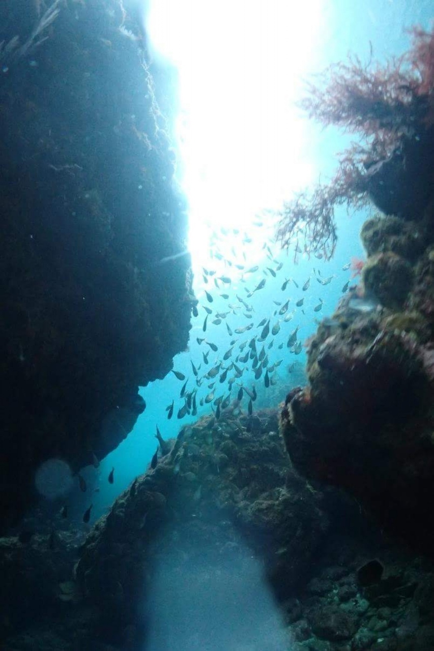 ヒリゾ浜に行って来ました 静岡県の旅行記 ブログ By Keinetさん フォートラベル