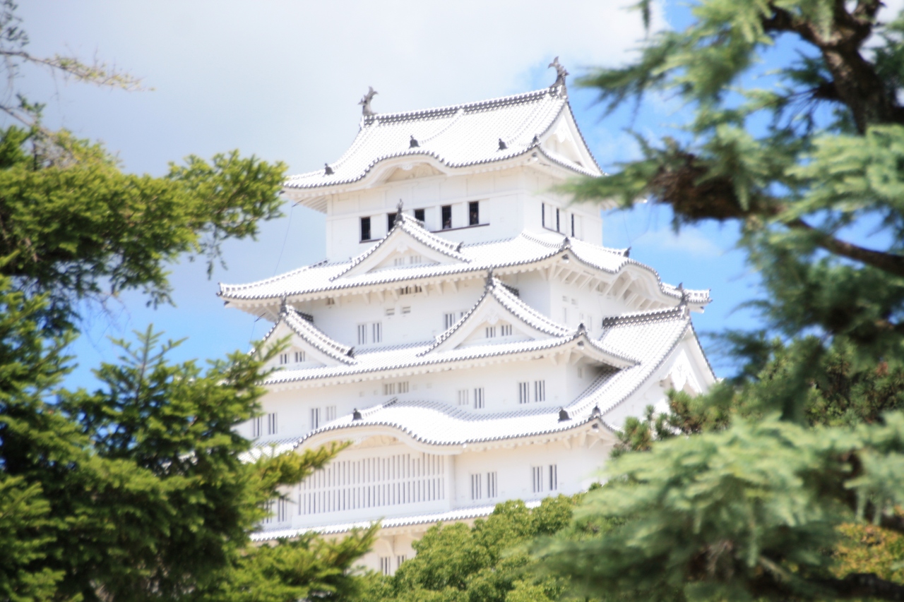 真っ白な白鷲城 姫路 兵庫県 の旅行記 ブログ By 旅ゴリラさん フォートラベル