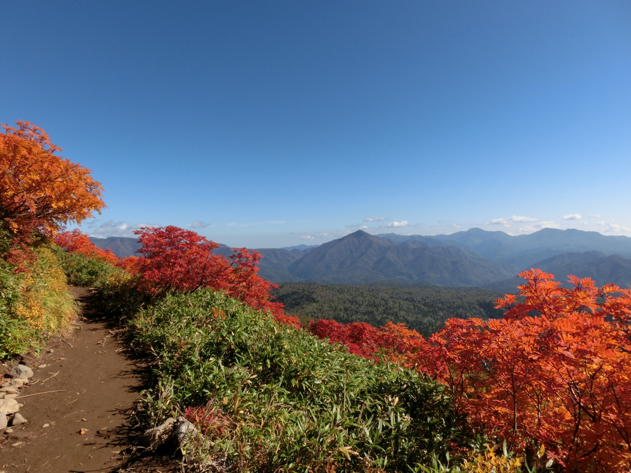 秋の大雪山 紅葉色比べ 前編 黒岳 赤岳 層雲峡 北海道 の旅行記 ブログ By Mickさん フォートラベル