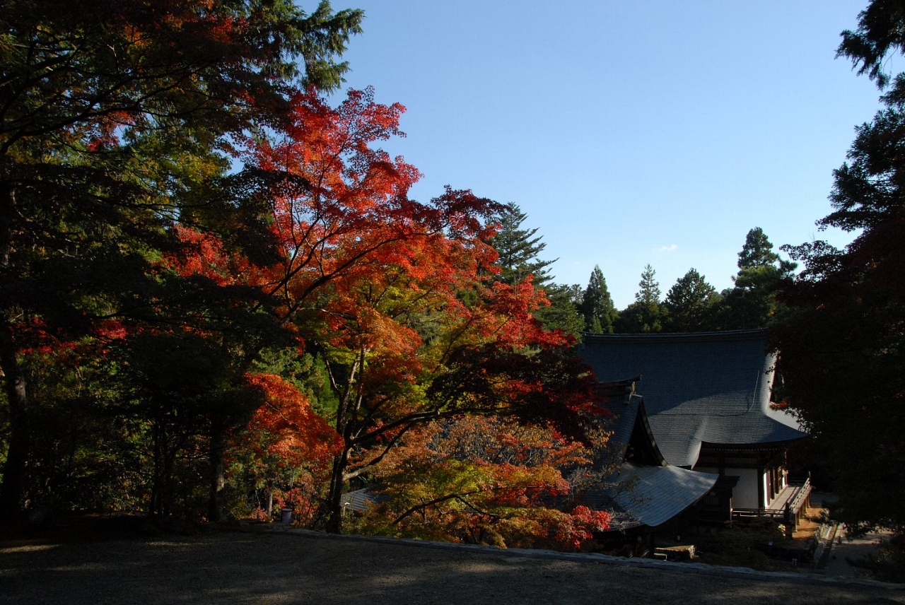 そうだ京都へ行こう 車で廻ろう早めの紅葉 天橋立 宮津 京都 の旅行記 ブログ By タマちゃんさん フォートラベル そうだ京都へ行こう 車で廻ろう早めの紅葉 天橋立 宮津 京都 の旅行記 ブログ By タマちゃんさん フォートラベル