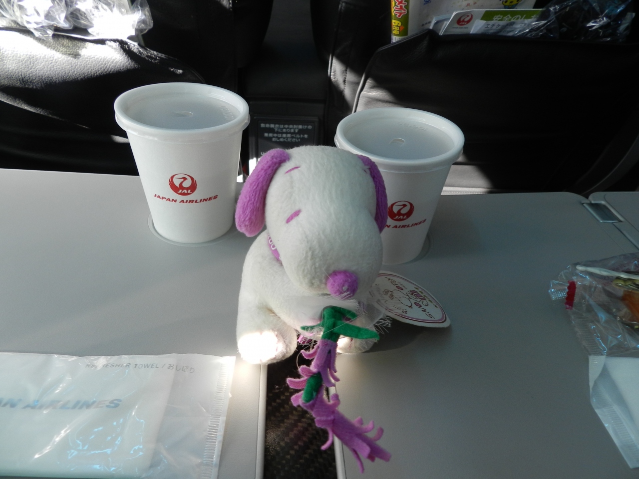 出発編 関空 新千歳 帯広 16初夏の爽やか北海道 湖沼と滝をめぐる旅 その1 関西空港 泉佐野 大阪 の旅行記 ブログ By Joecoolさん フォートラベル 出発編 関空 新千歳 帯広 16初夏の爽やか北海道 湖沼と滝をめぐる旅 その1 関西空港 泉佐野 大阪 の旅行記 ブログ By Joecoolさん フォートラベル