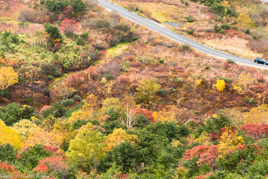 濃霧の中の浄土平のちょこっと紅葉 福島市 福島県 の旅行記 ブログ By Mirukuさん フォートラベル 濃霧の中の浄土平のちょこっと紅葉 福島市 福島県 の旅行記 ブログ By Mirukuさん フォートラベル