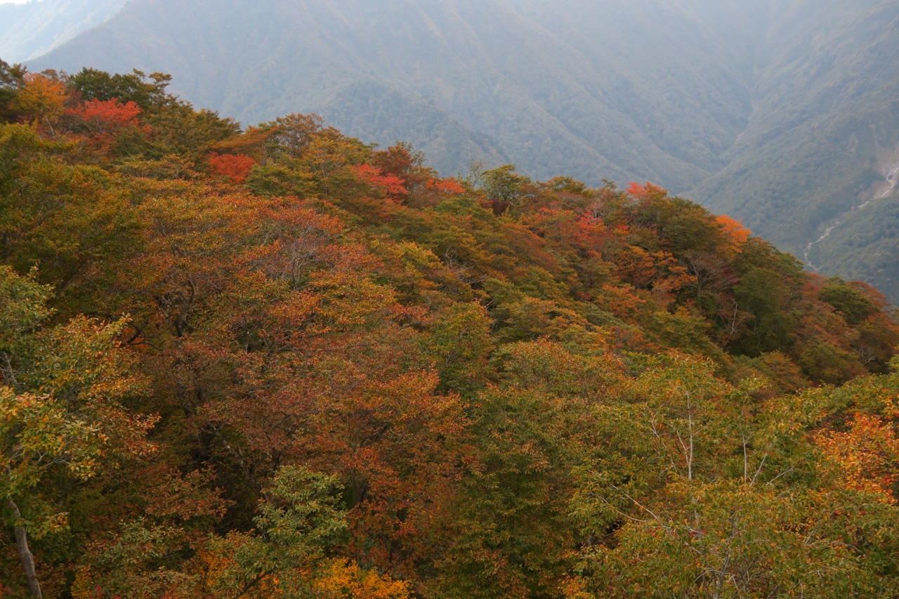 紅葉にはちょっと早い谷川岳 谷川温泉 湯桧曽温泉 群馬県 の旅行記 ブログ By みーさん フォートラベル 紅葉にはちょっと早い谷川岳 谷川温泉 湯桧曽温泉 群馬県 の旅行記 ブログ By みーさん フォートラベル