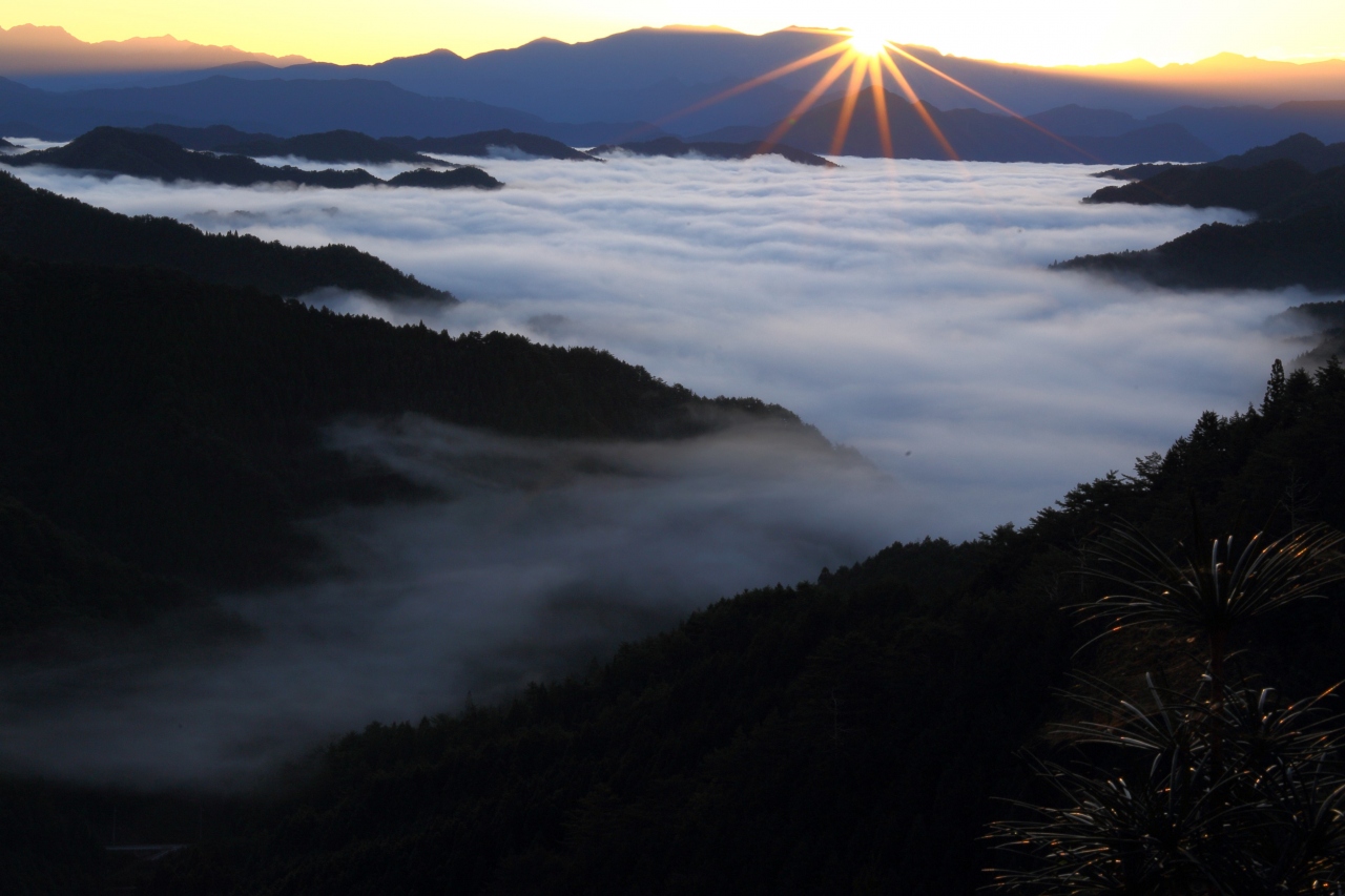 旅するイルカ 奈良県 野迫川 雲海撮影へ 川上 東吉野 奈良県 の旅行記 ブログ By イルカさん フォートラベル 旅するイルカ 奈良県 野迫川 雲海撮影へ 川上 東吉野 奈良県 の旅行記 ブログ By イルカさん フォートラベル