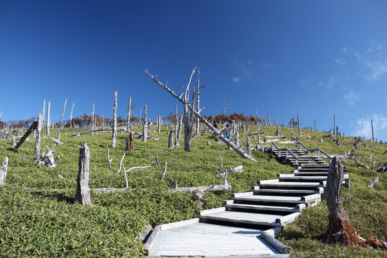 絶景を楽しむ大台ケ原トレッキング』大台ヶ原・上北山(奈良県)の旅行記・ブログ by yukikuoさん【フォートラベル】