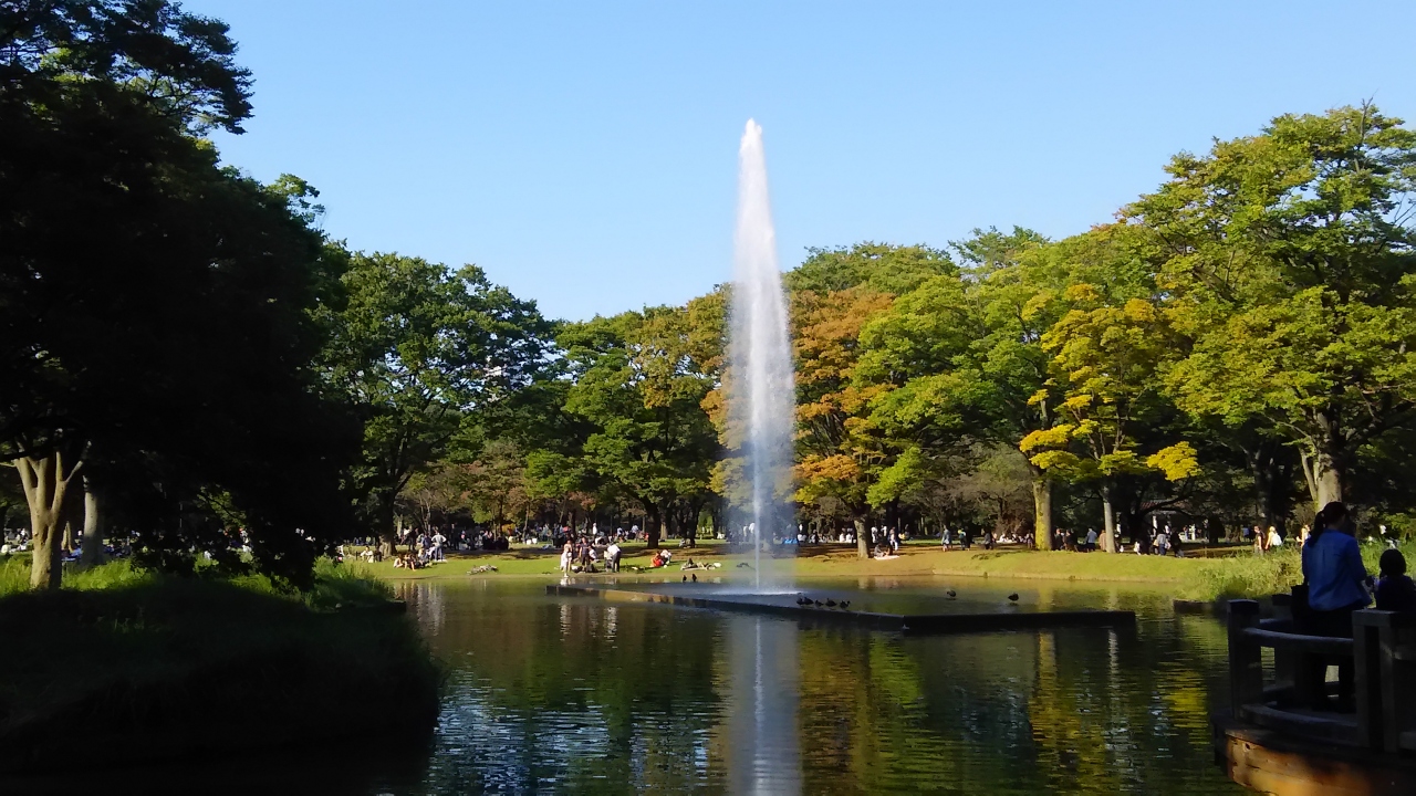 明治神宮の帰りに代々木公園散策 代々木 東京 の旅行記 ブログ By しゅいぐーさん フォートラベル