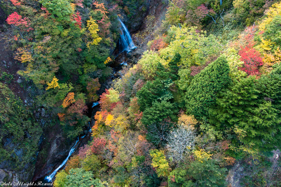 磐梯吾妻スカイラインの紅葉 高湯温泉 福島県 の旅行記 ブログ By Mirukuさん フォートラベル 磐梯吾妻スカイラインの紅葉 高湯温泉 福島県 の旅行記 ブログ By Mirukuさん フォートラベル