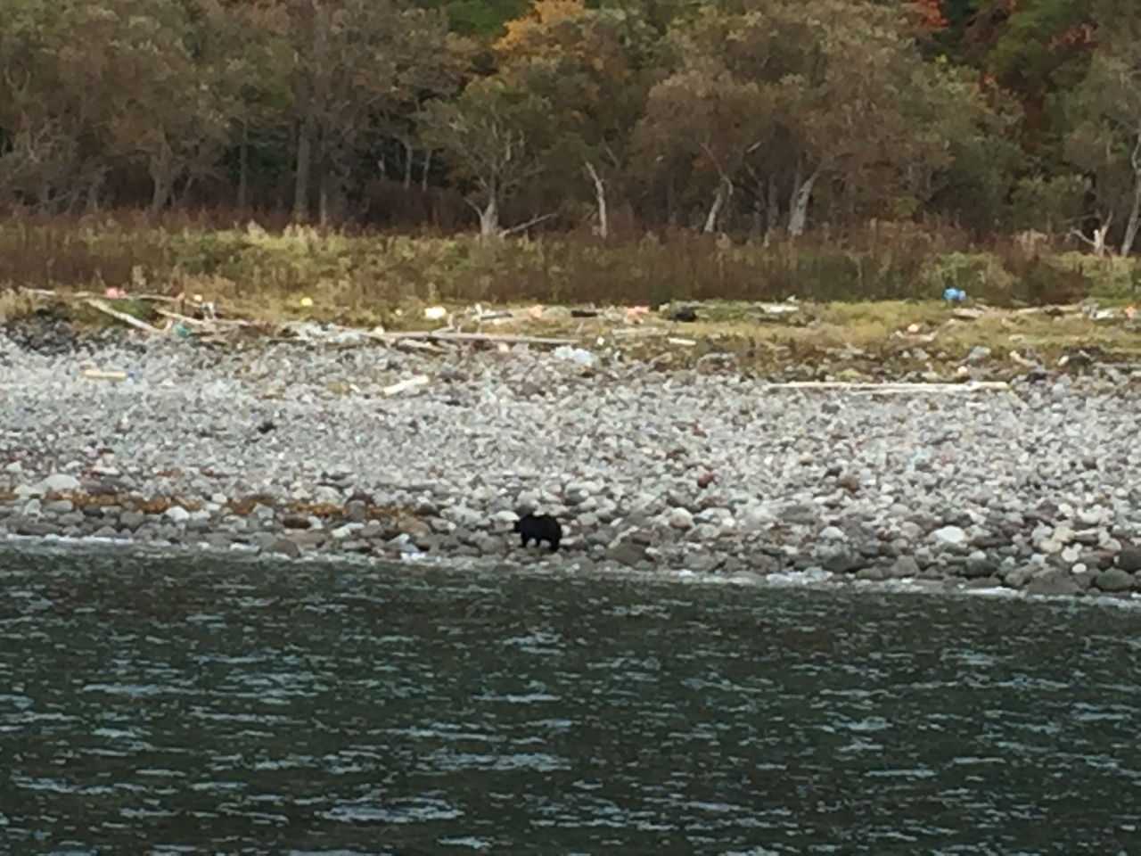 秋の知床ひとり旅 16 車なし編 ウトロ 北海道 の旅行記 ブログ By Intheteacupさん フォートラベル