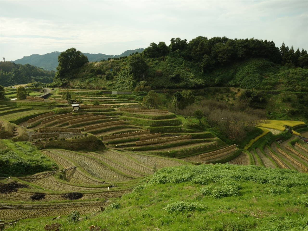 16年 10月 大阪府 千早赤阪村 富田林 羽曳野 大阪 の旅行記 ブログ By Takashi Yさん フォートラベル