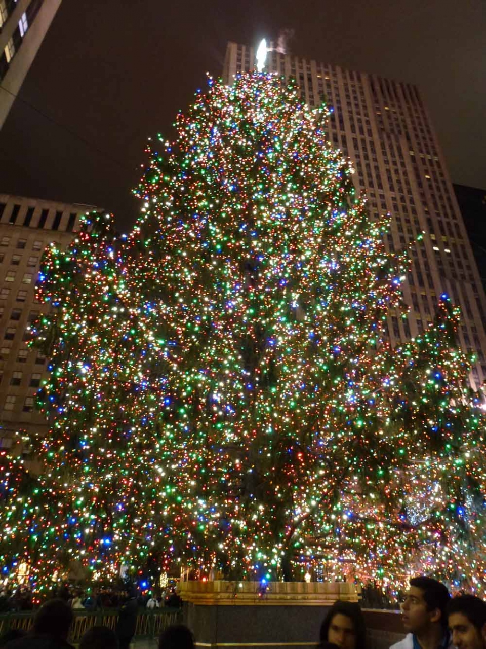 クリスマスシーズンのニューヨーク訪問 ニューヨーク アメリカ の旅行記 ブログ By ndmさん フォートラベル