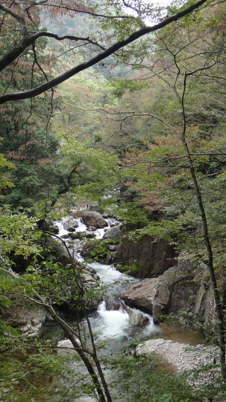 三段峡 二段滝に一番近い横川口よりのアプローチ 三段峡 安芸太田 北広島 広島県 の旅行記 ブログ By Tono2さん フォートラベル