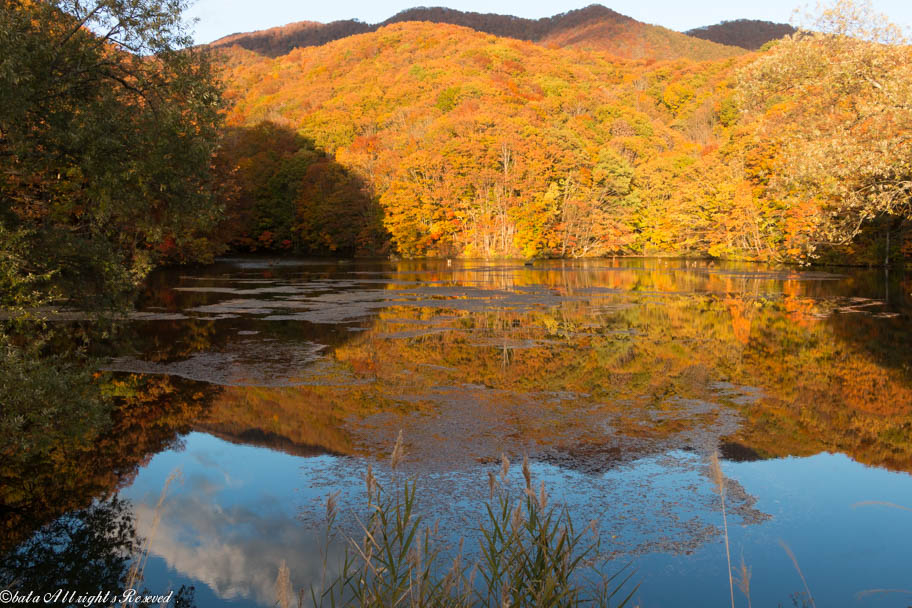 母成グリーンライン 中津川渓谷 裏磐梯の紅葉 裏磐梯 猫魔 福島県 の旅行記 ブログ By Mirukuさん フォートラベル 母成グリーンライン 中津川渓谷 裏磐梯の紅葉 裏磐梯 猫魔 福島県 の旅行記 ブログ By Mirukuさん フォートラベル