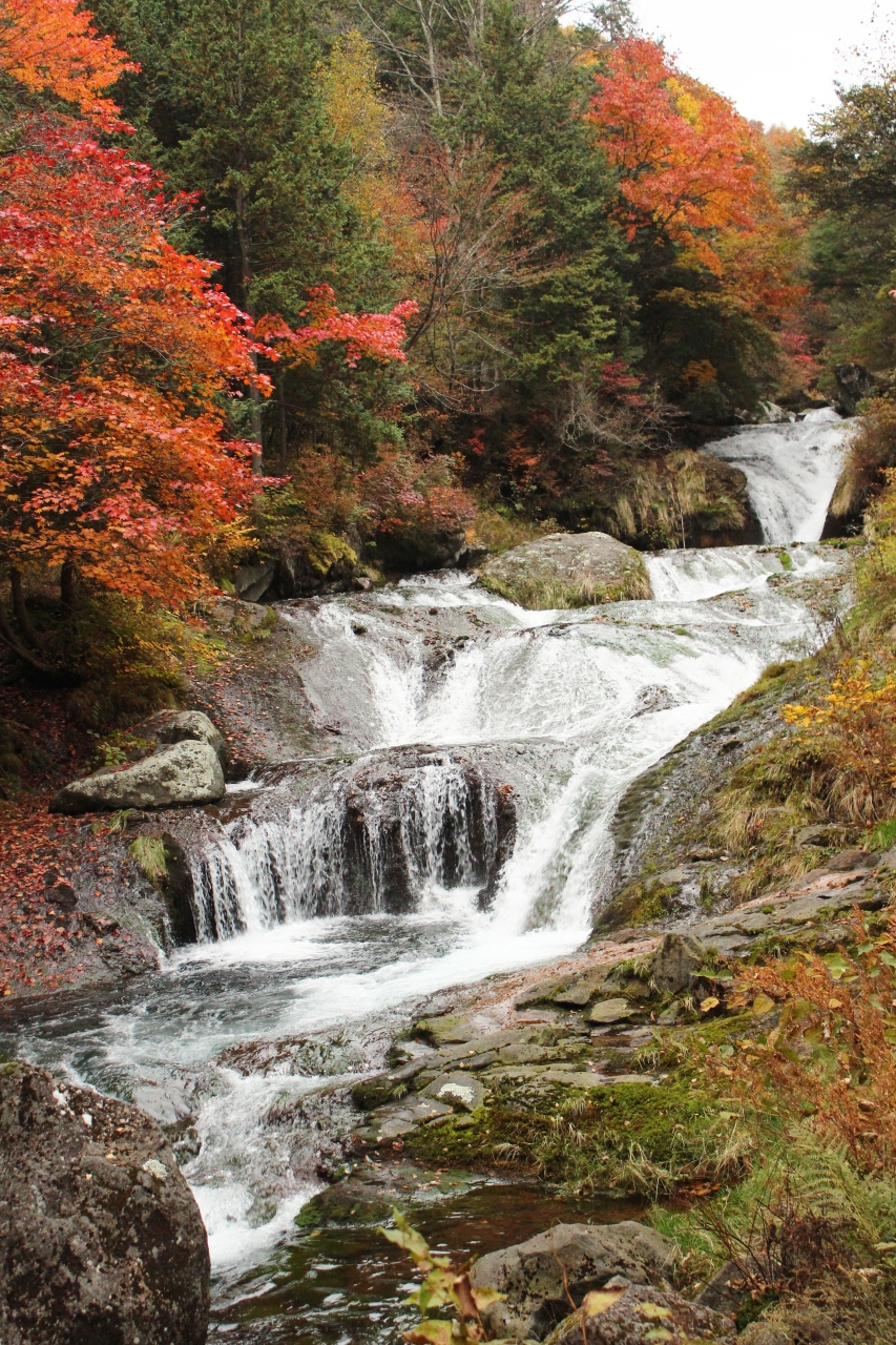 紅葉も最高潮 豪快な滝に魅せられて横谷峡 明治温泉でまったり 人気の御射鹿池 茅野 長野県 の旅行記 ブログ By みちるさん フォートラベル