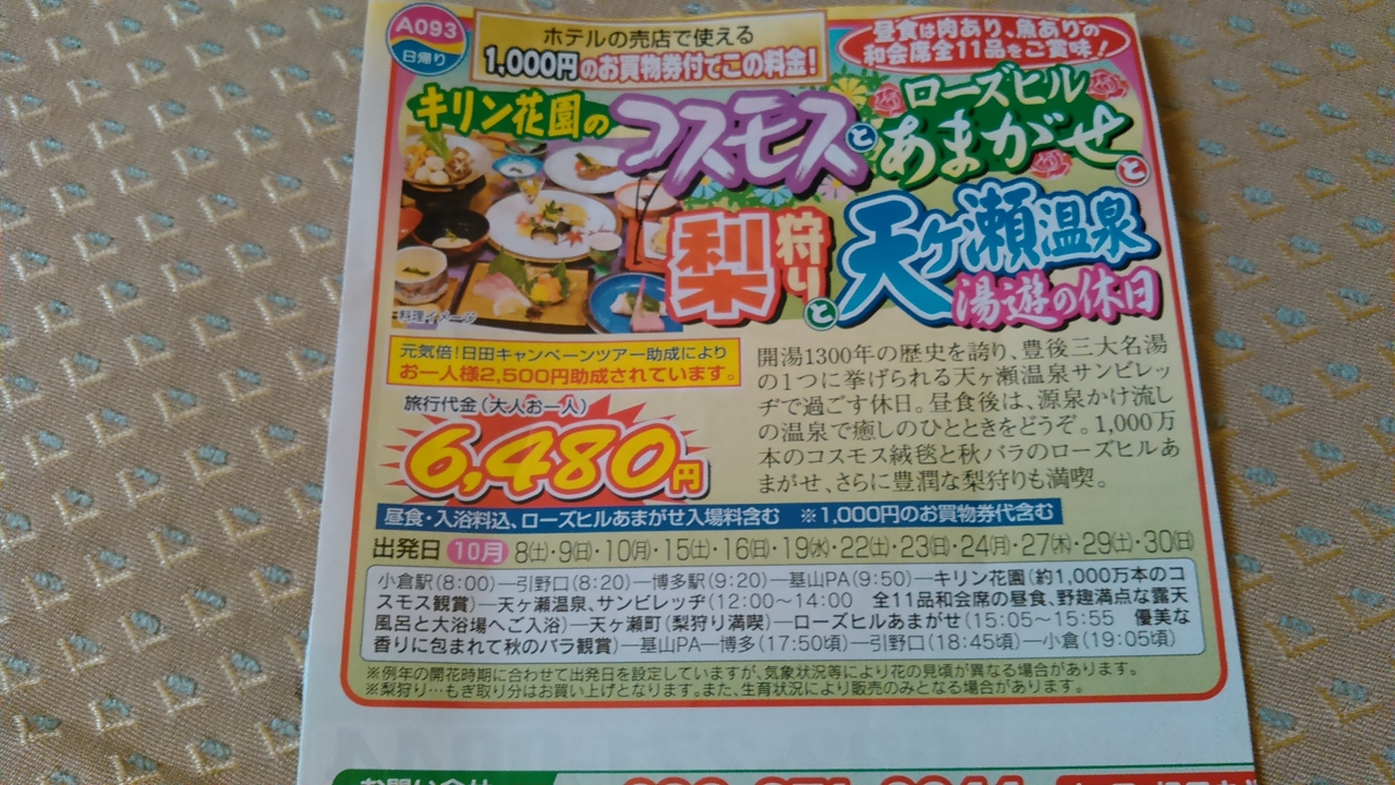 コスモスとばらと ランチと梨とお風呂 日田 大分県 の旅行記 ブログ By よしめさん フォートラベル