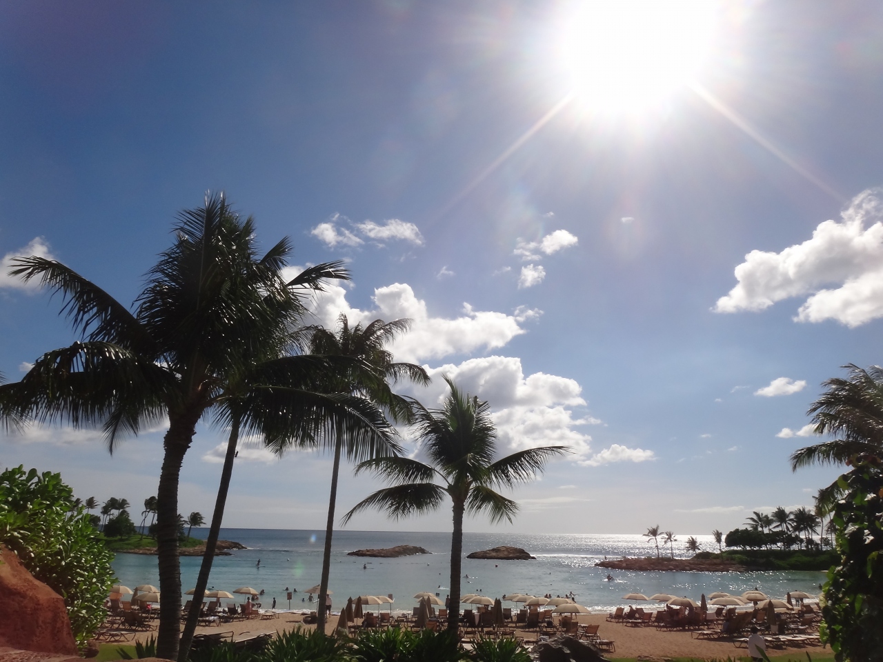 16ハワイ旅行記 アウラニ5泊 グランドワイキキアンph3泊 前半 オアフ島 ハワイ の旅行記 ブログ By タビードンさん フォートラベル