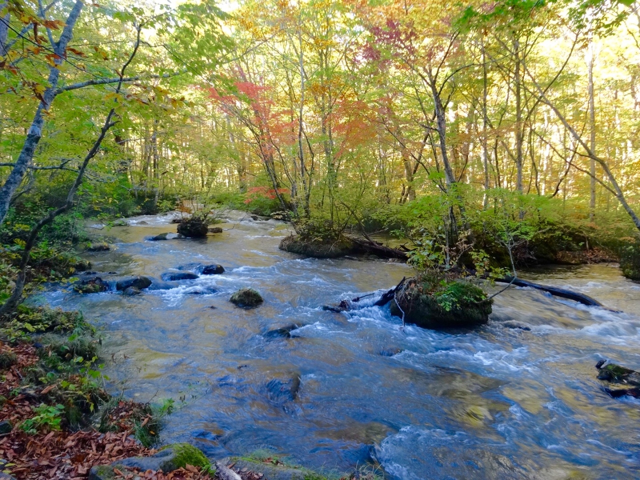 青森紅葉の旅 奥入瀬渓流 奥入瀬 十和田湖 青森県 の旅行記 ブログ By エトランゼさん フォートラベル