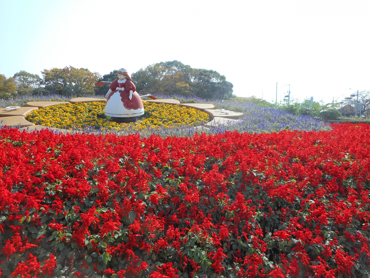 秋バラ咲いてるかな 西山公園 豊田 愛知県 の旅行記 ブログ By みょんじゃさん フォートラベル