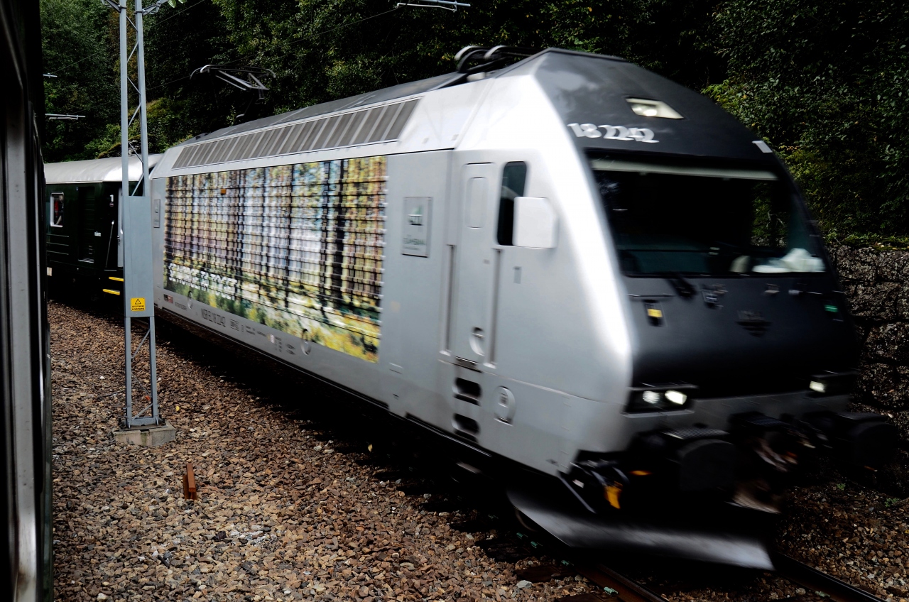 ノルウェー フィヨルド観光 と フィンランド タリン １６日間 ５ フロム鉄道と滝の妖精 フロム ノルウェー の旅行記 ブログ By Funky Travelerさん フォートラベル