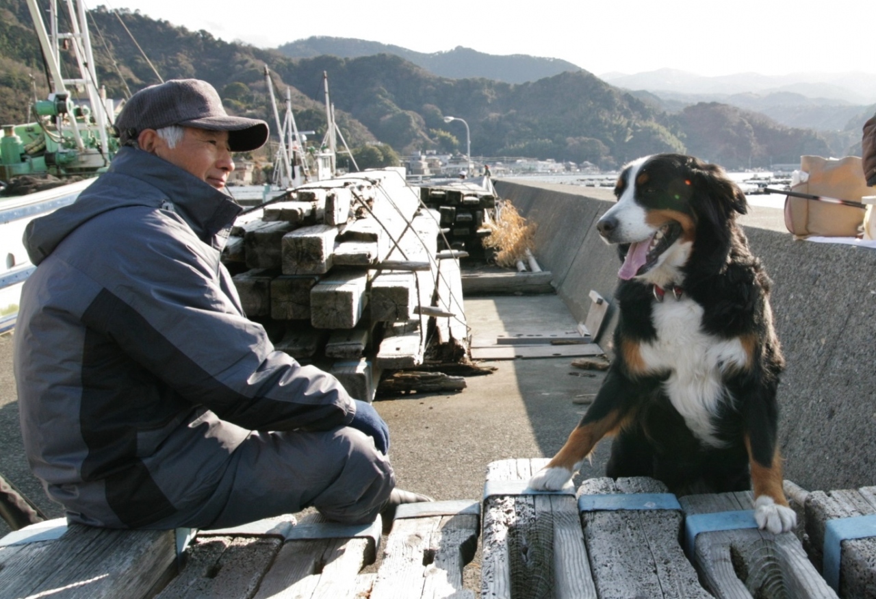 バーニーと行く北陸 大型犬との旅は楽しい か 後編 石川県の旅行記 ブログ By ほいみさん フォートラベル