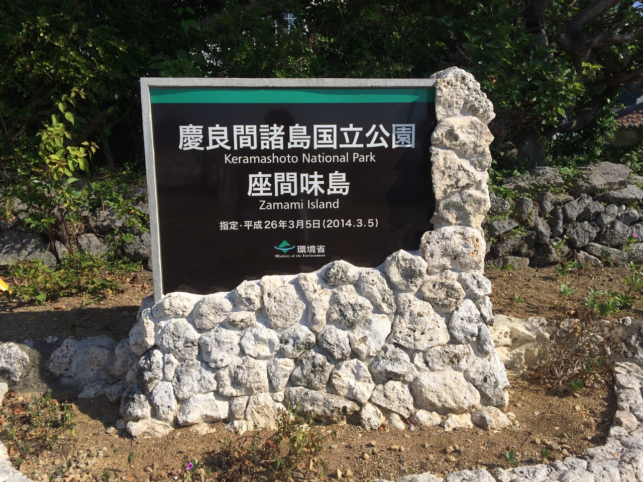 座間味島 ないちゃーの沖縄離島巡り 慶良間諸島 沖縄県 の旅行記 ブログ By Go Ya Manさん フォートラベル