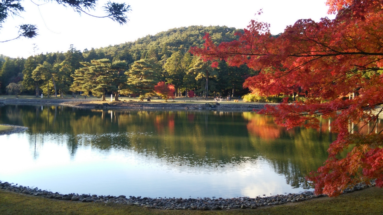 秘仏御開帳の平泉 中尊寺 と 毛越寺 新幹線日帰り御朱印旅 平泉 岩手県 の旅行記 ブログ By オルチャさん フォートラベル 秘仏御開帳の平泉 中尊寺 と 毛越寺 新幹線日帰り御朱印旅 平泉 岩手県 の旅行記 ブログ By オルチャさん フォートラベル