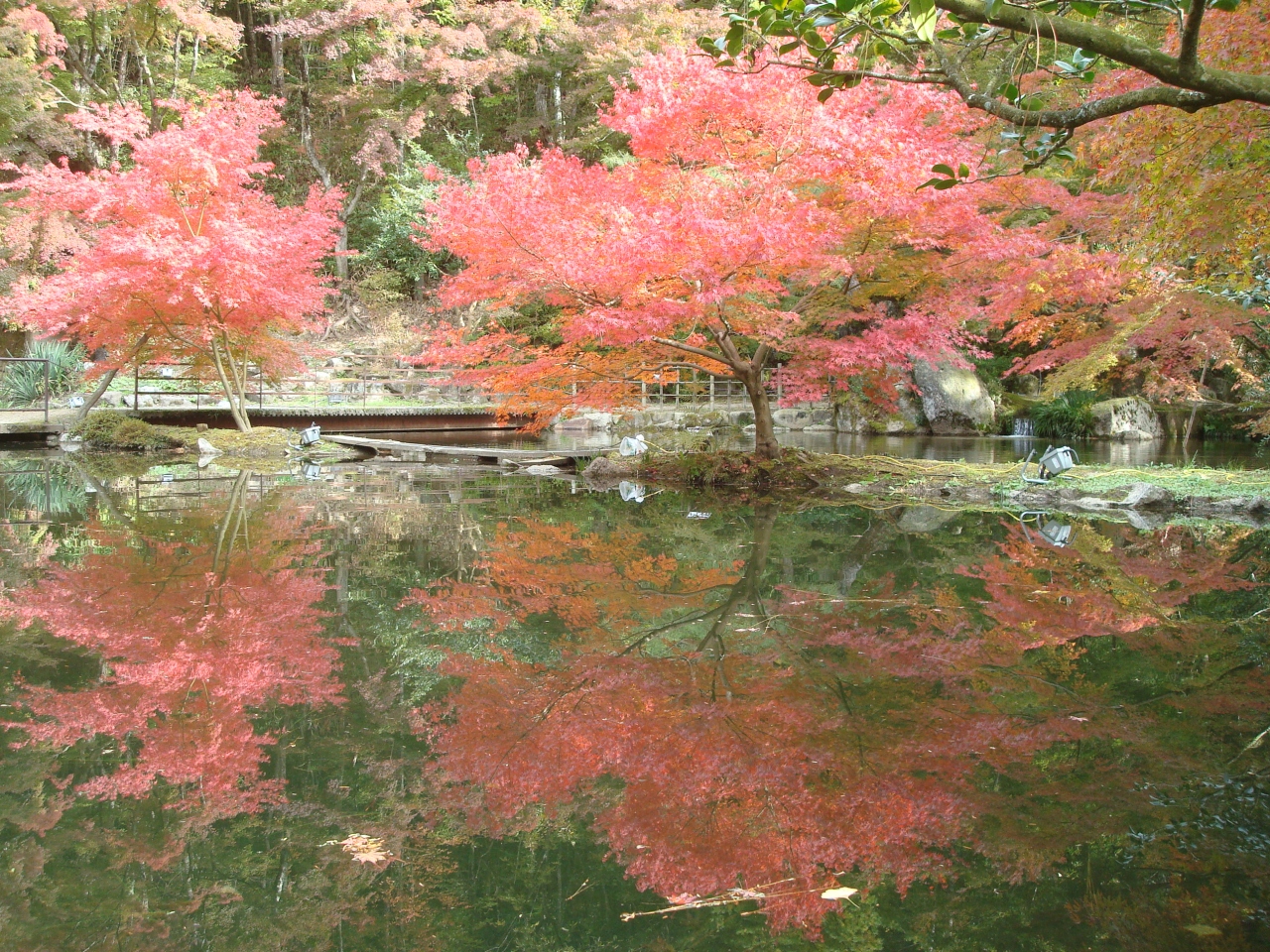 瀬戸 土岐 中津川 紅葉の旅第一弾 岩屋堂 曽木公園 付知峡 中津川 岐阜県 の旅行記 ブログ By ヤッターマン３号さん フォートラベル