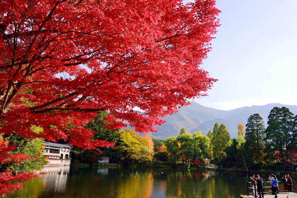 紅葉の由布院散策 湯布院 由布院温泉 大分県 の旅行記 ブログ By 気まぐれなデジカメ館さん フォートラベル