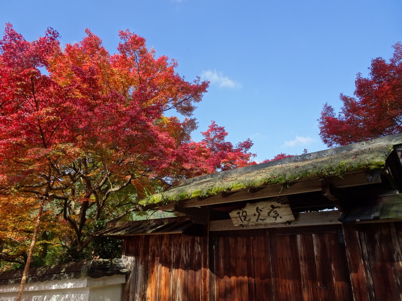 京都の紅葉２０１６ 大原と岩倉実相院 八瀬 大原 貴船 鞍馬 京都 の旅行記 ブログ By Yokoさん フォートラベル