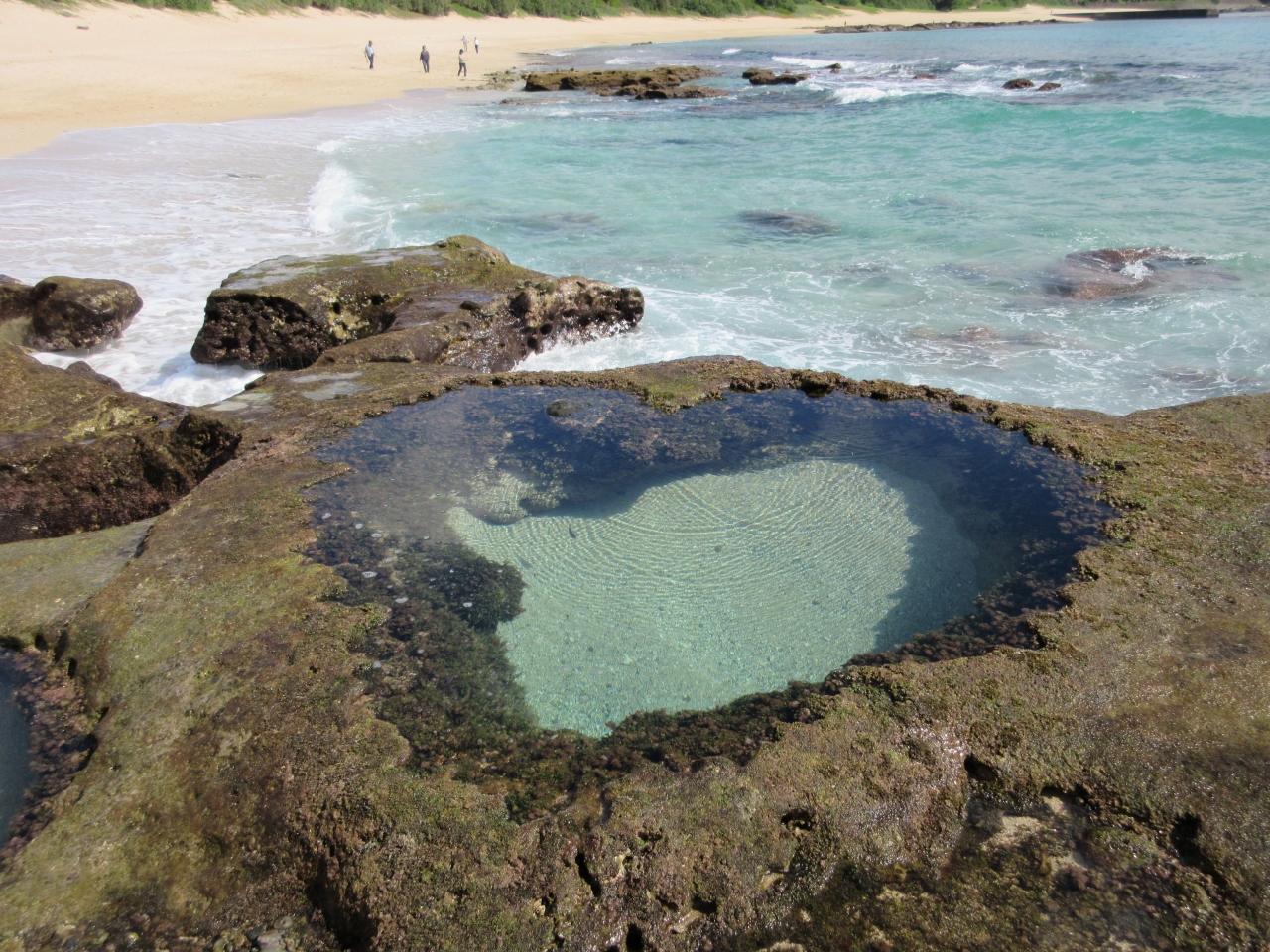 癒されたくて奄美大島 北部観光へ 奄美大島 鹿児島県 の旅行記 ブログ By しいろんさん フォートラベル