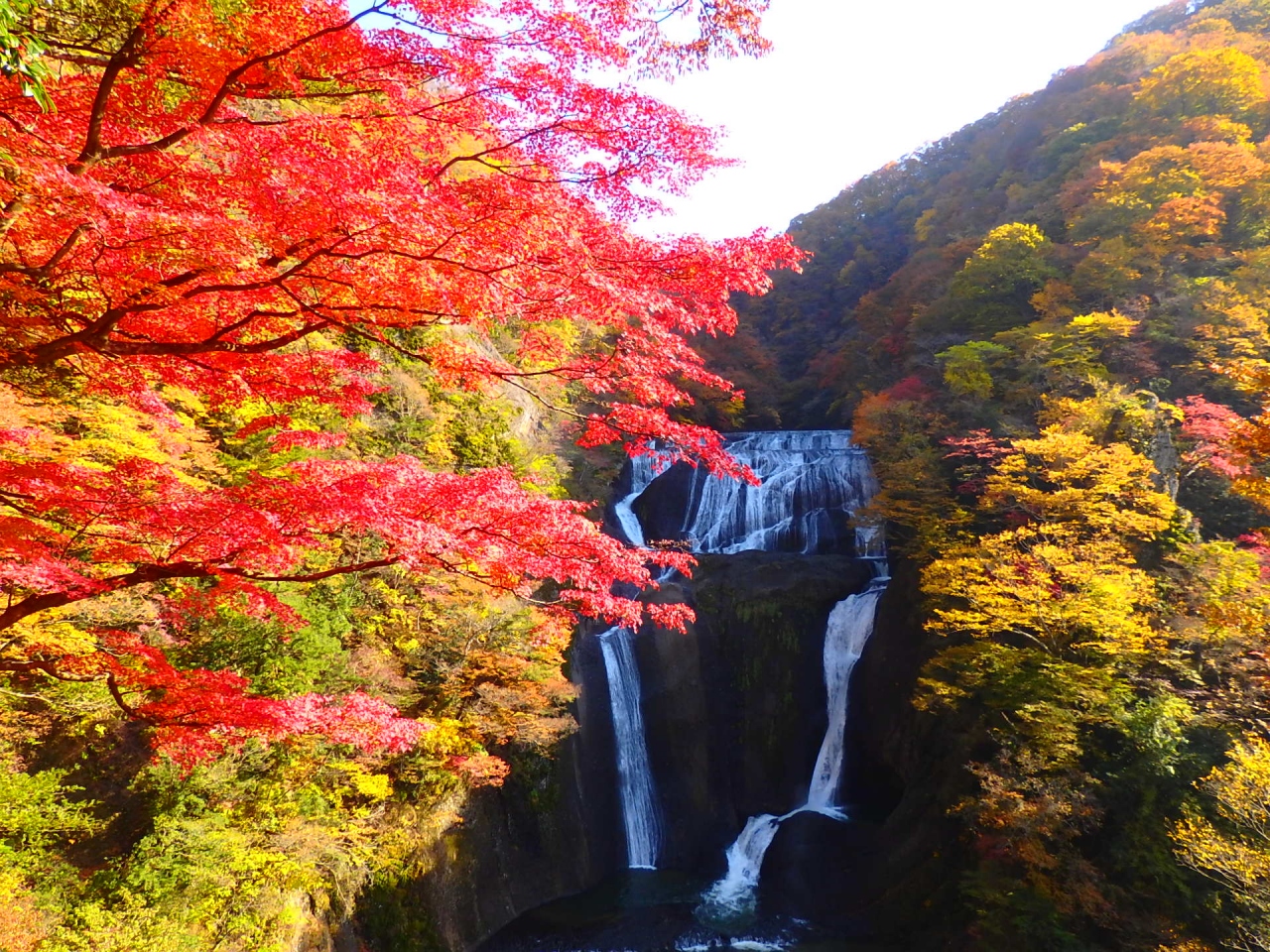 茨城県民の日に茨城県を満喫する 大子 袋田温泉 茨城県 の旅行記 ブログ By たなまるさん フォートラベル