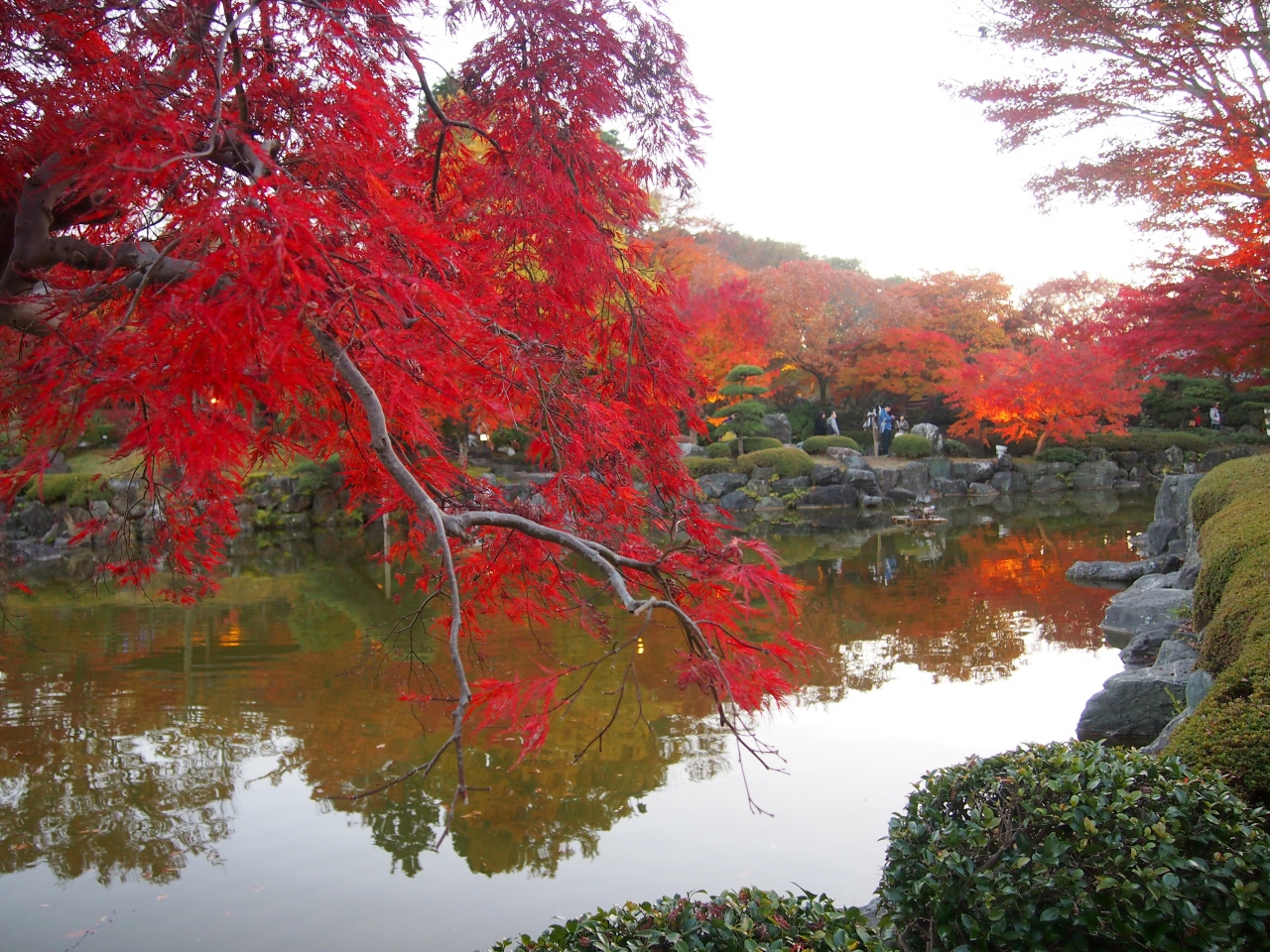 冬桜と紅葉のコラボを見たくて出かけてきましたが 見頃だったのは紅葉だけでした １ 群馬藤岡 藤岡 群馬県 の旅行記 ブログ By かおニャンさん フォートラベル