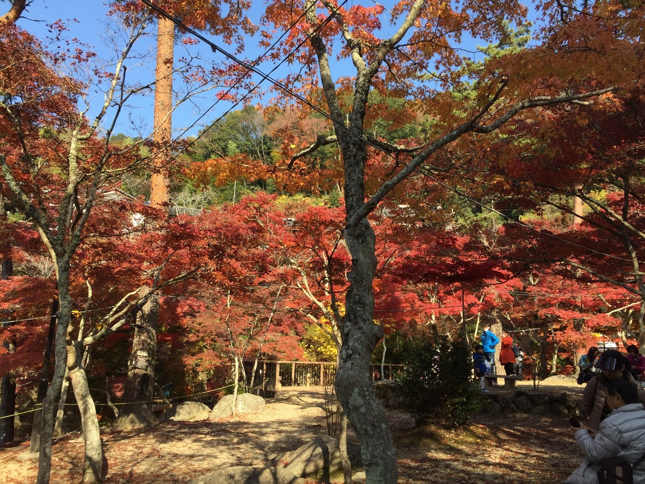 岩屋堂公園 紅葉まつり 瀬戸 愛知県 の旅行記 ブログ By 00yukoさん フォートラベル 岩屋堂公園 紅葉まつり 瀬戸 愛知県 の旅行記 ブログ By 00yukoさん フォートラベル
