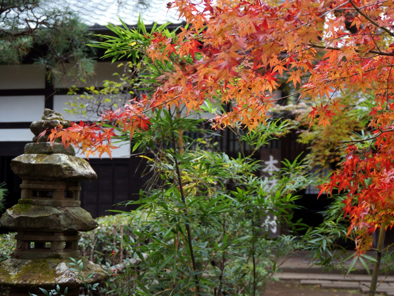 ２０１６ 初もみじ 埼玉平林寺 新座 朝霞 和光 志木 埼玉県 の旅行記 ブログ By 愛吉さん フォートラベル