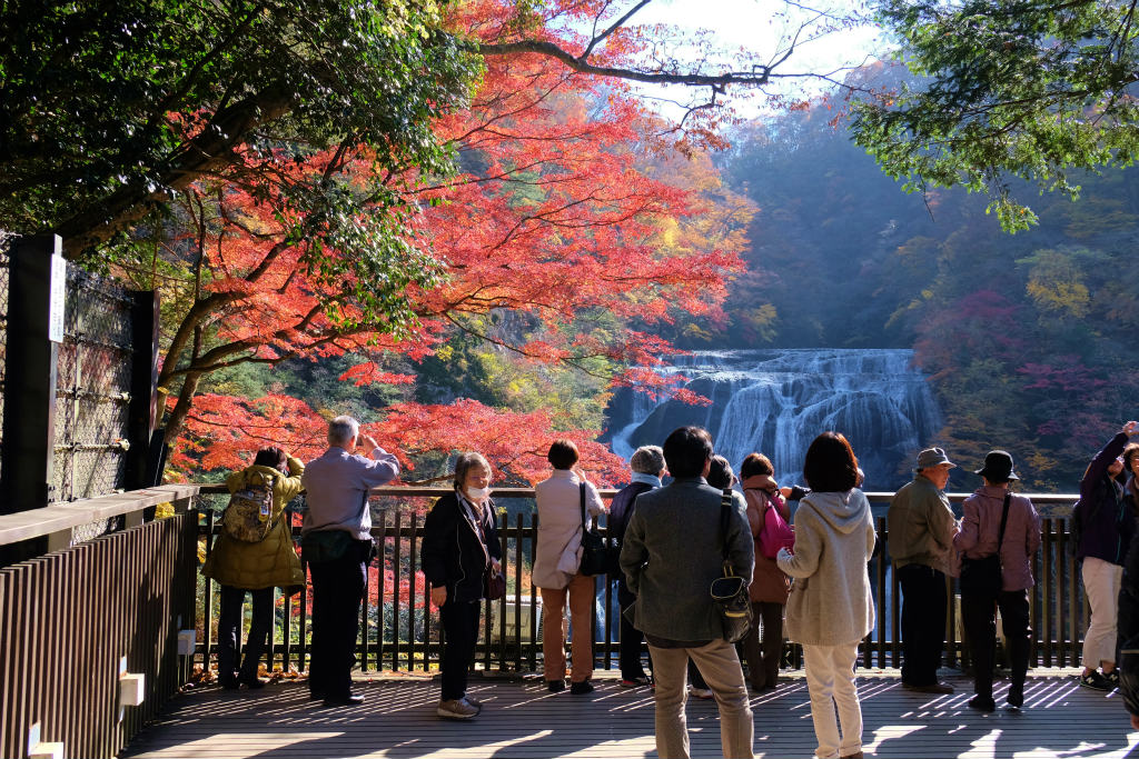 ツアーで行く 紅葉 袋田の滝 花貫渓谷 上 袋田の滝編 大子 袋田温泉 茨城県 の旅行記 ブログ By 義臣さん フォートラベル