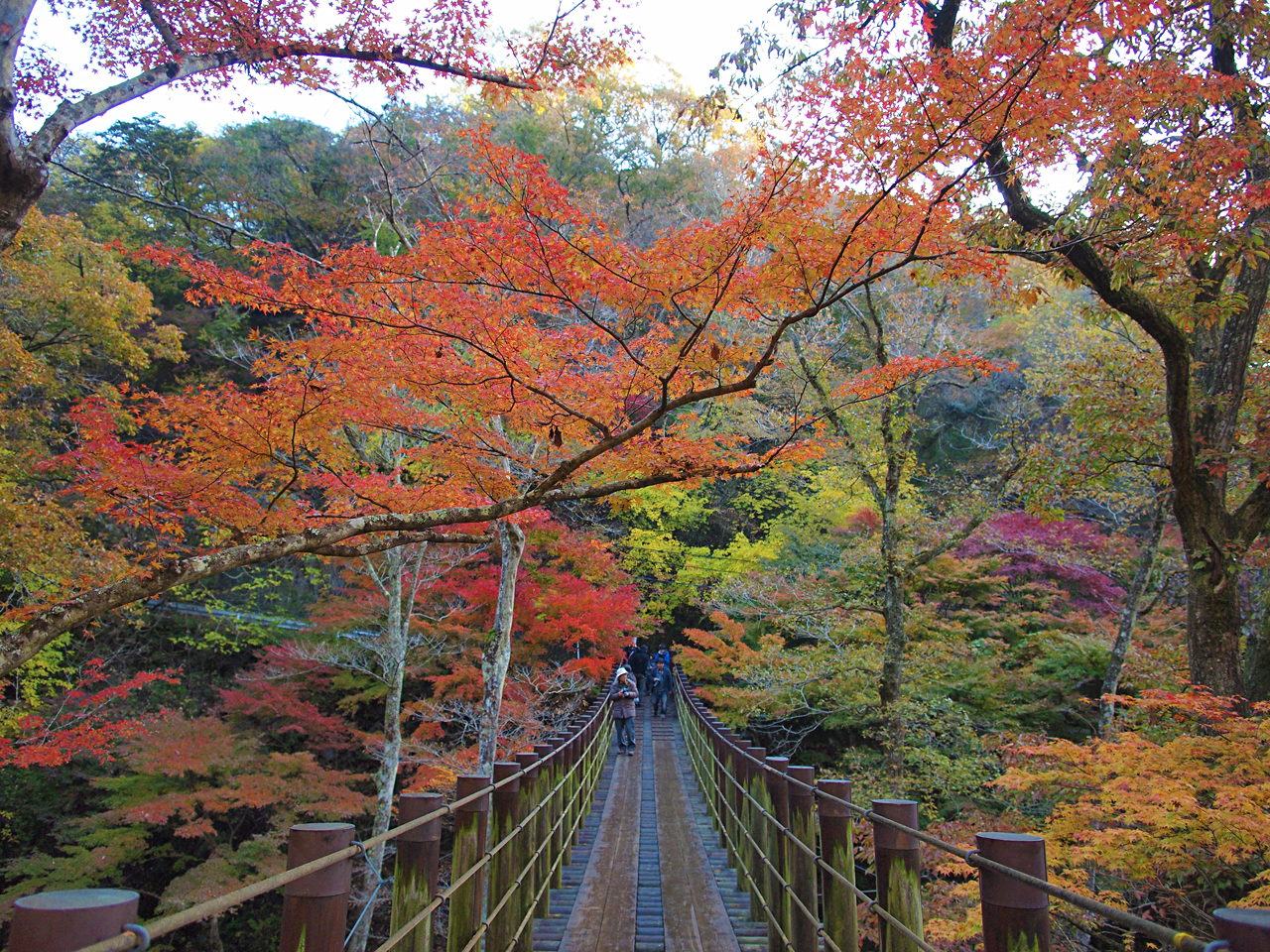 秋の茨城旅02 花貫渓谷の紅葉 高萩 茨城県 の旅行記 ブログ By Picotabiさん フォートラベル